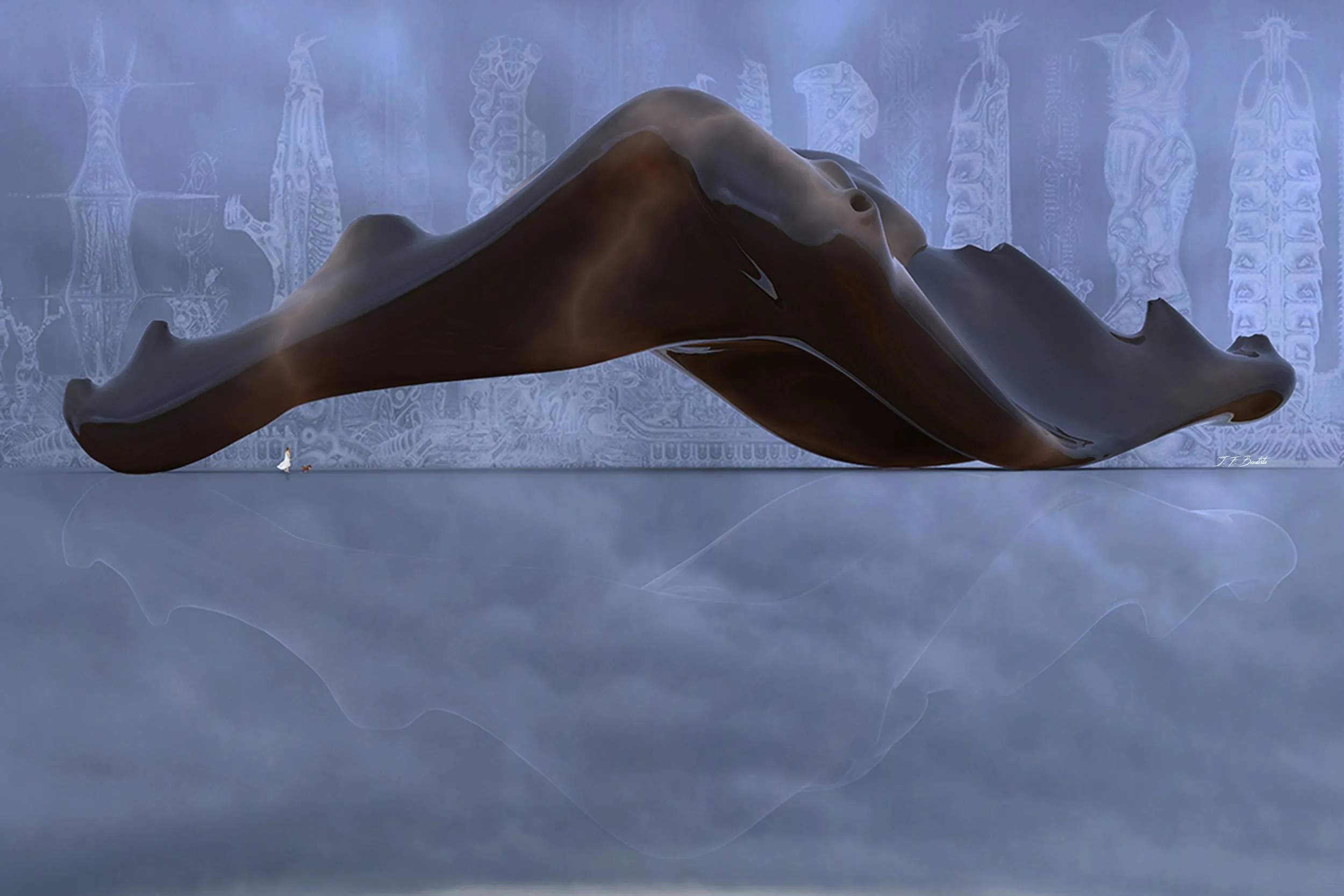 Dog Walking The Owner