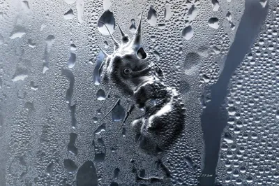 The Architect's Worst Nightmare