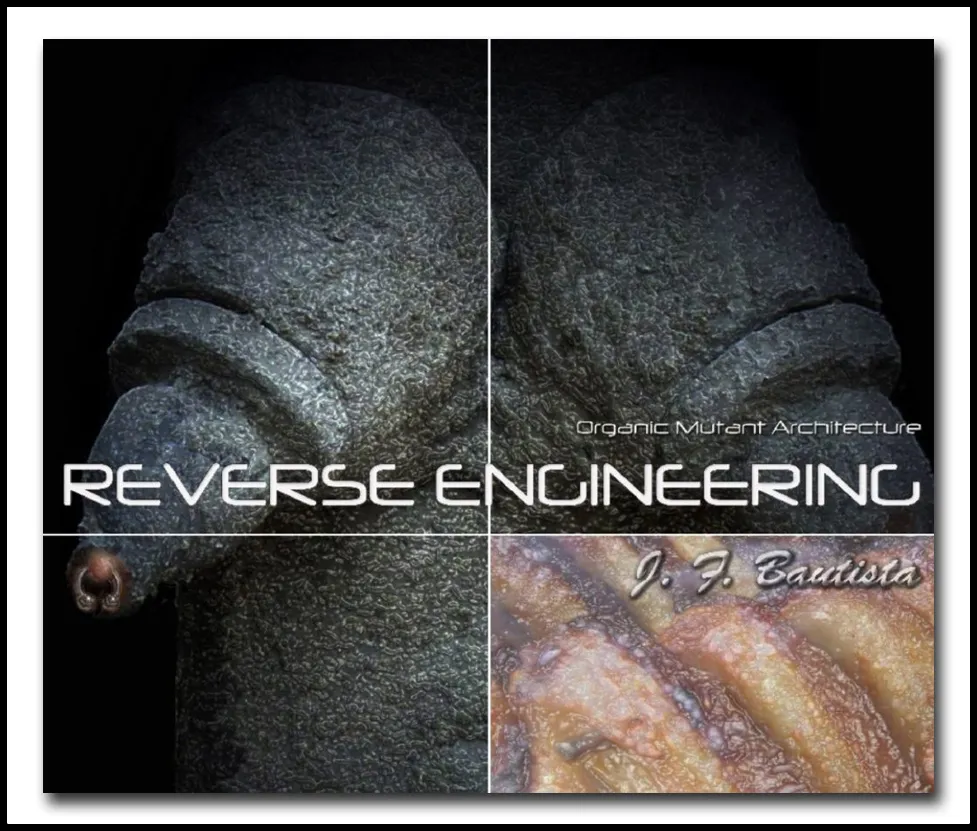 Reverse Engineering