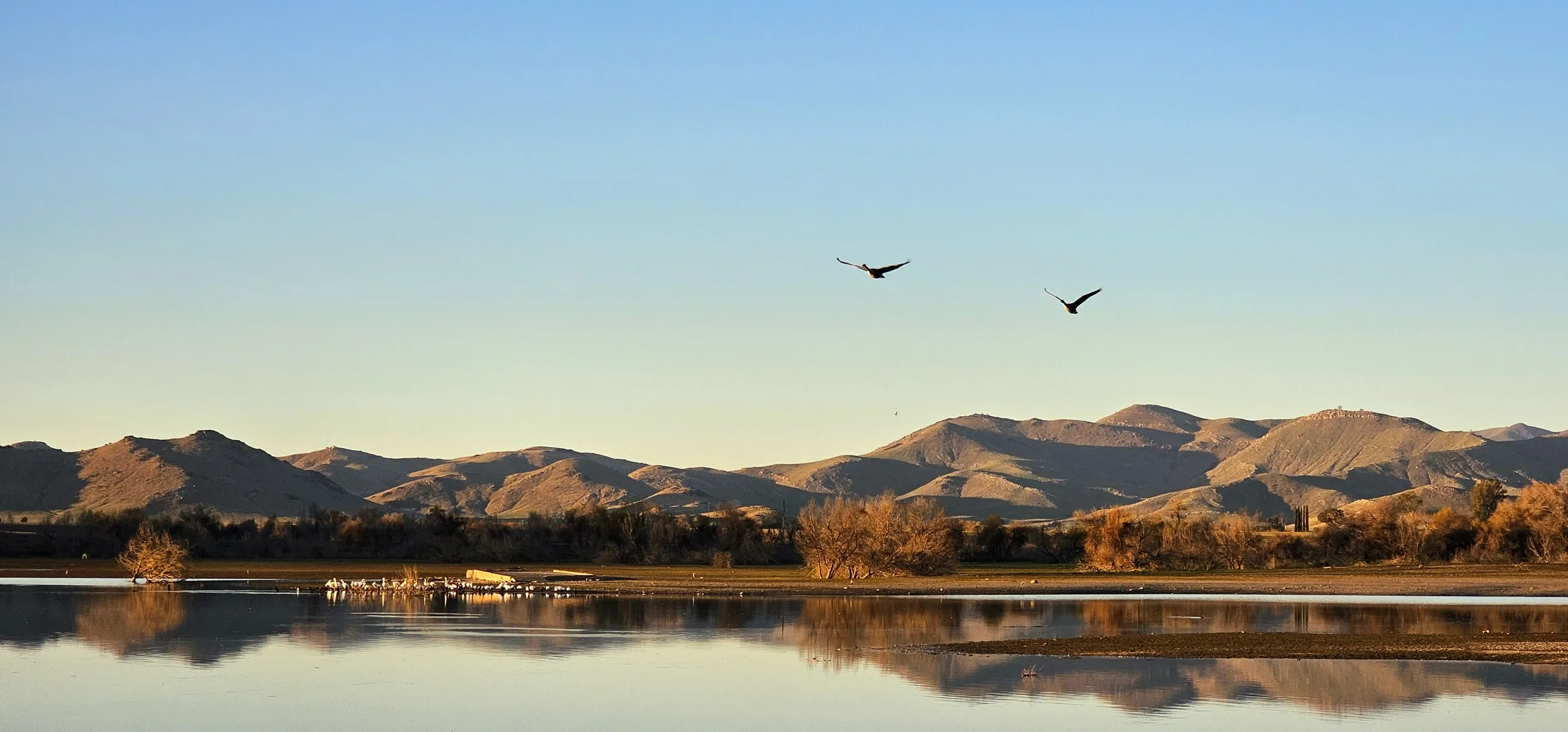 Porterville, California