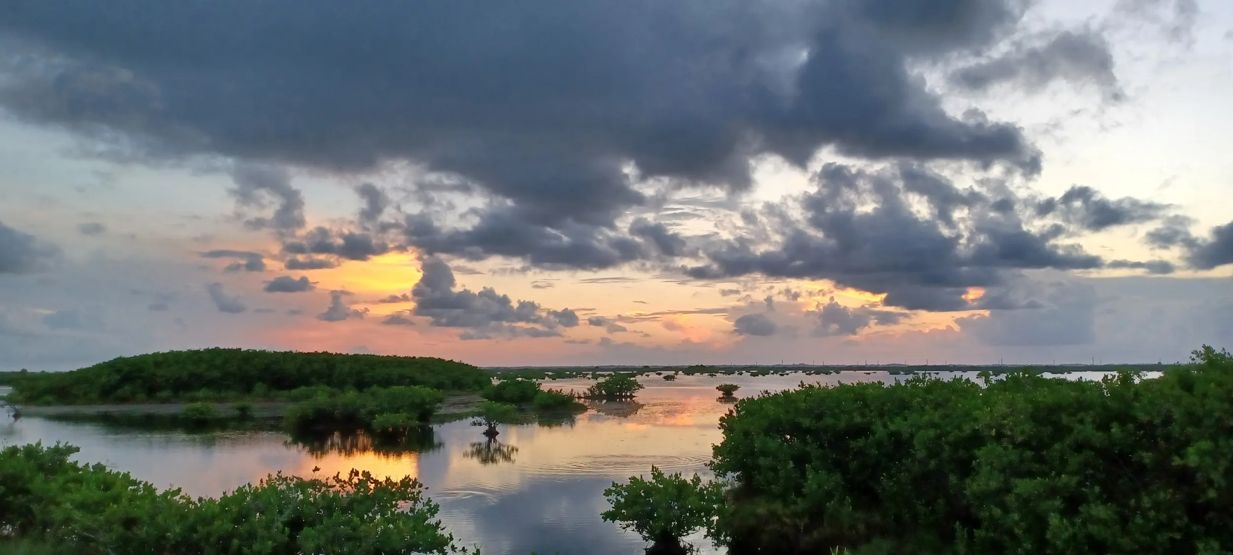 Merritt Island National Wildlife Refuge, Titusville, FL