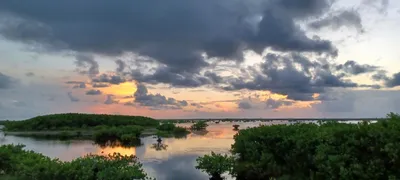 Merritt Island National Wildlife Refuge, Titusville, FL