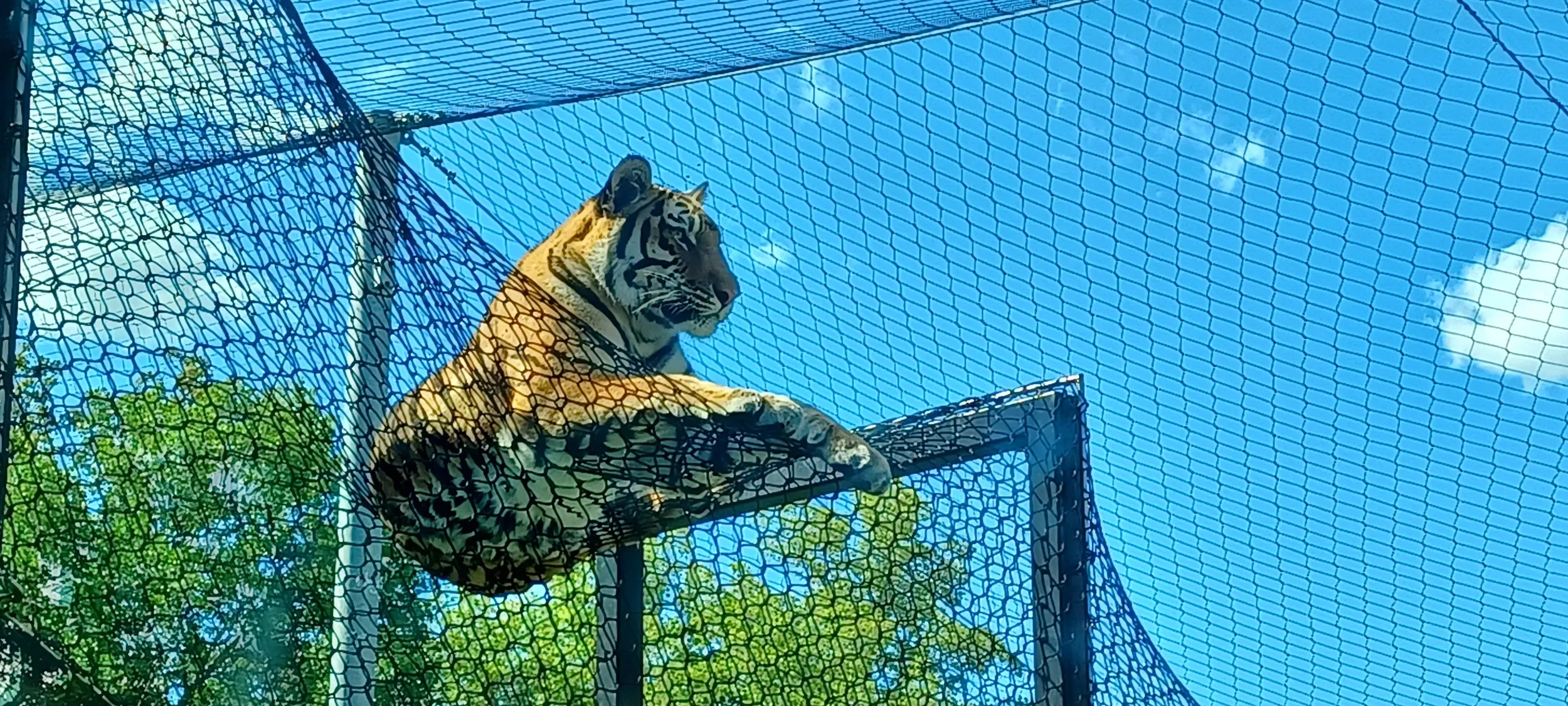 Roosevelt Park Zoo, Minot, ND