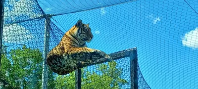 Roosevelt Park Zoo, Minot, ND