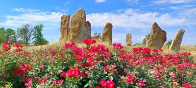 Idaho Botanical Garden, Boise, ID