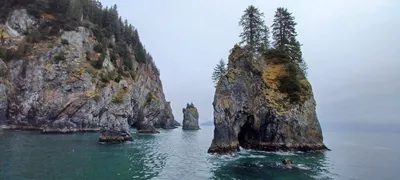 Gulf of Alaska