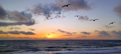 Laguna Beach, California