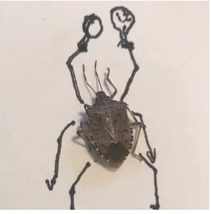 Stink Bug Jazz Band #4