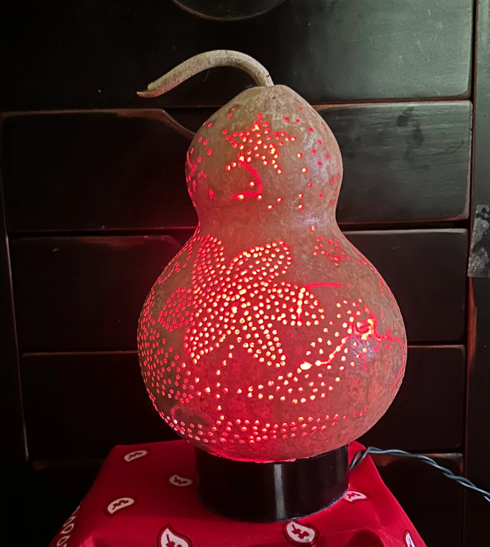 Found in Jim’s Garden, back