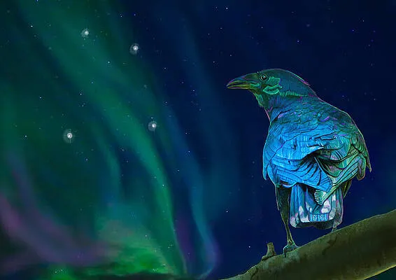 Crow and Corvus in the Souther Sky