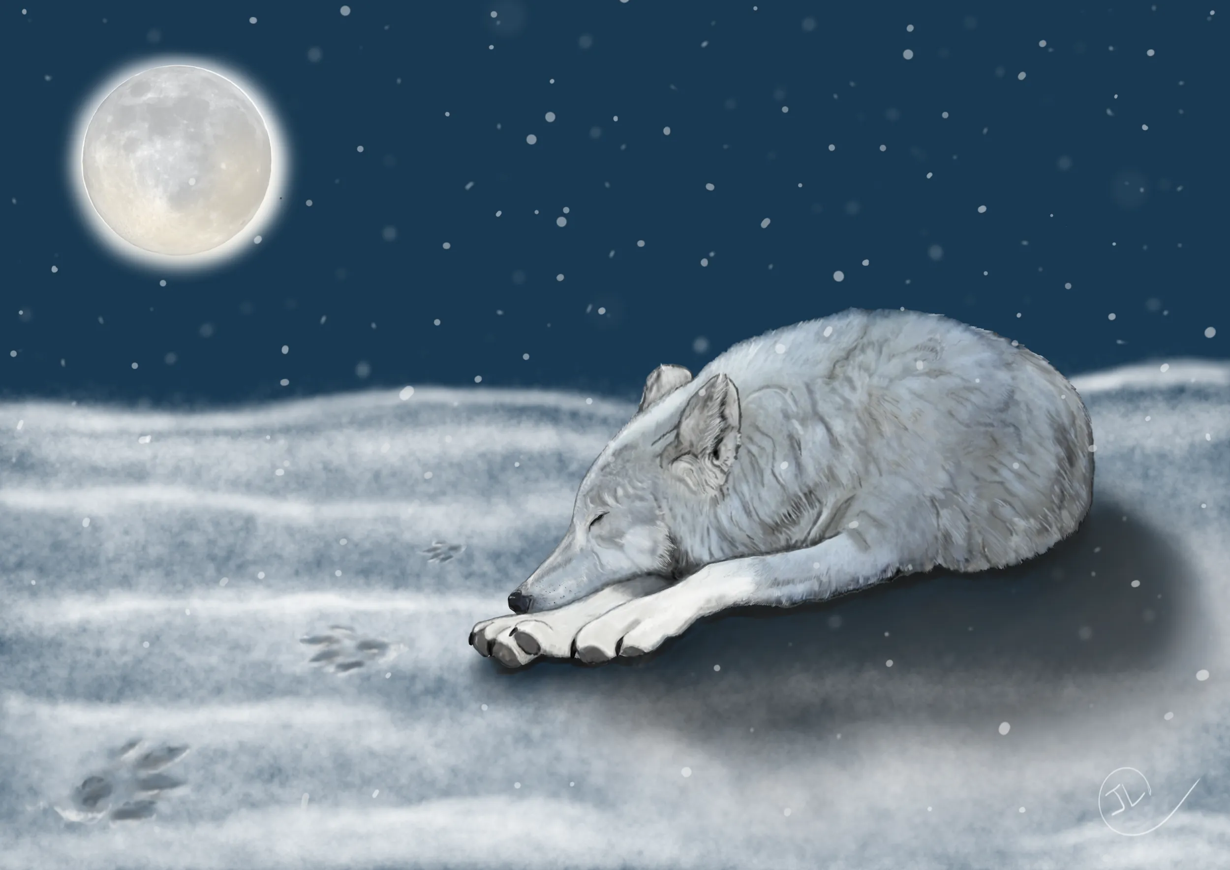 Arctic Wolf and Wolf Moon