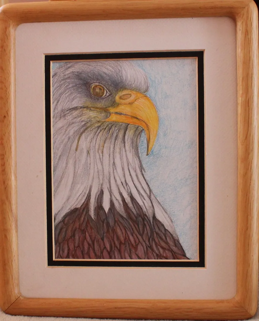 The Bald Eagle
