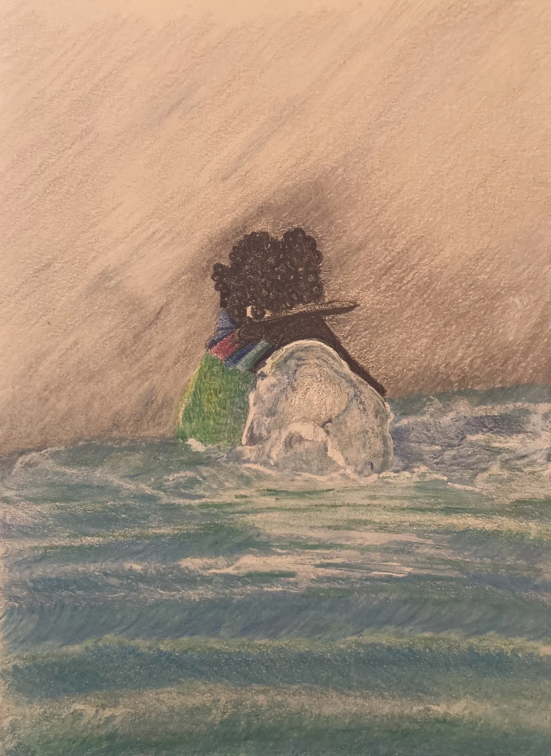 Anna’s Hummingbird