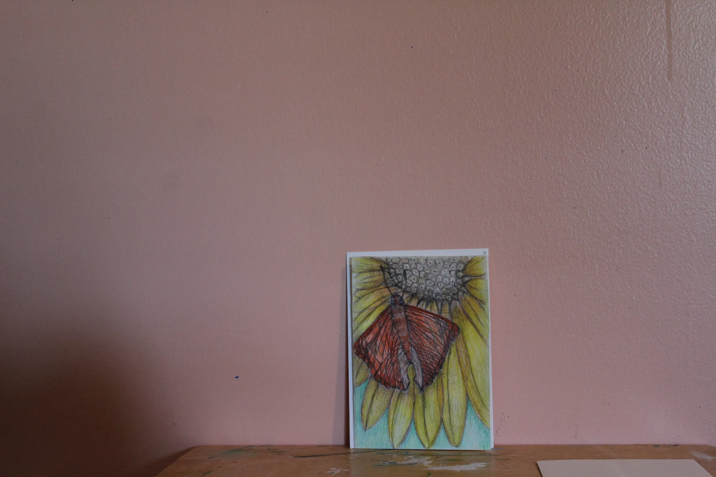 The moth and The Sun Flower