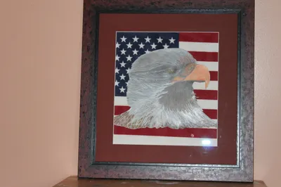 The America Nations Symbol