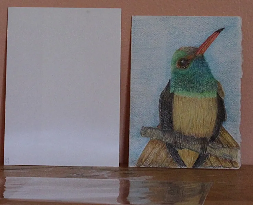 Hummingbird looking up