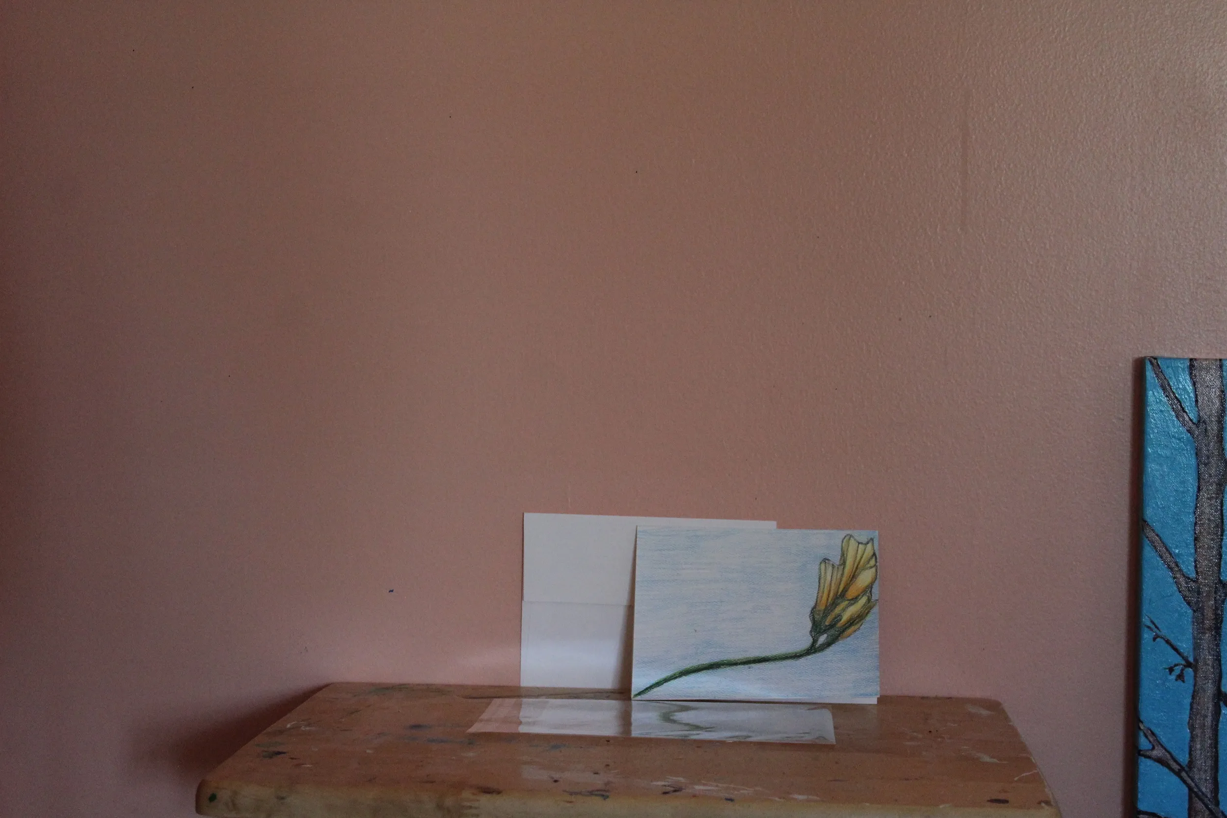 Simple Comforts And Relaxation