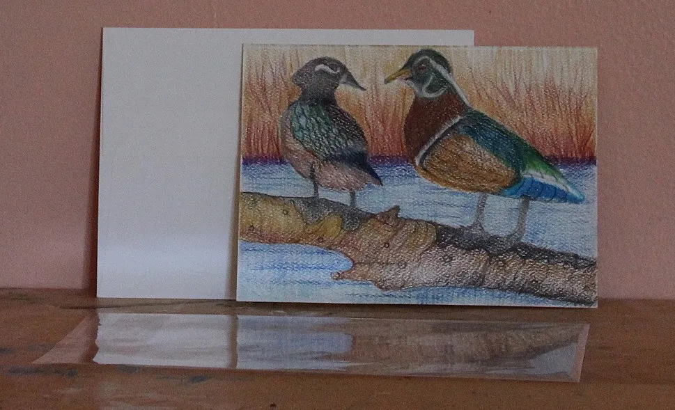 Mallard Ducks