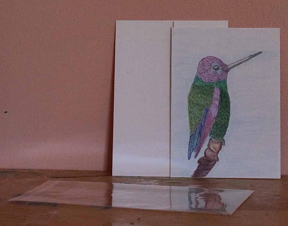 Male Ruby Hummingbird