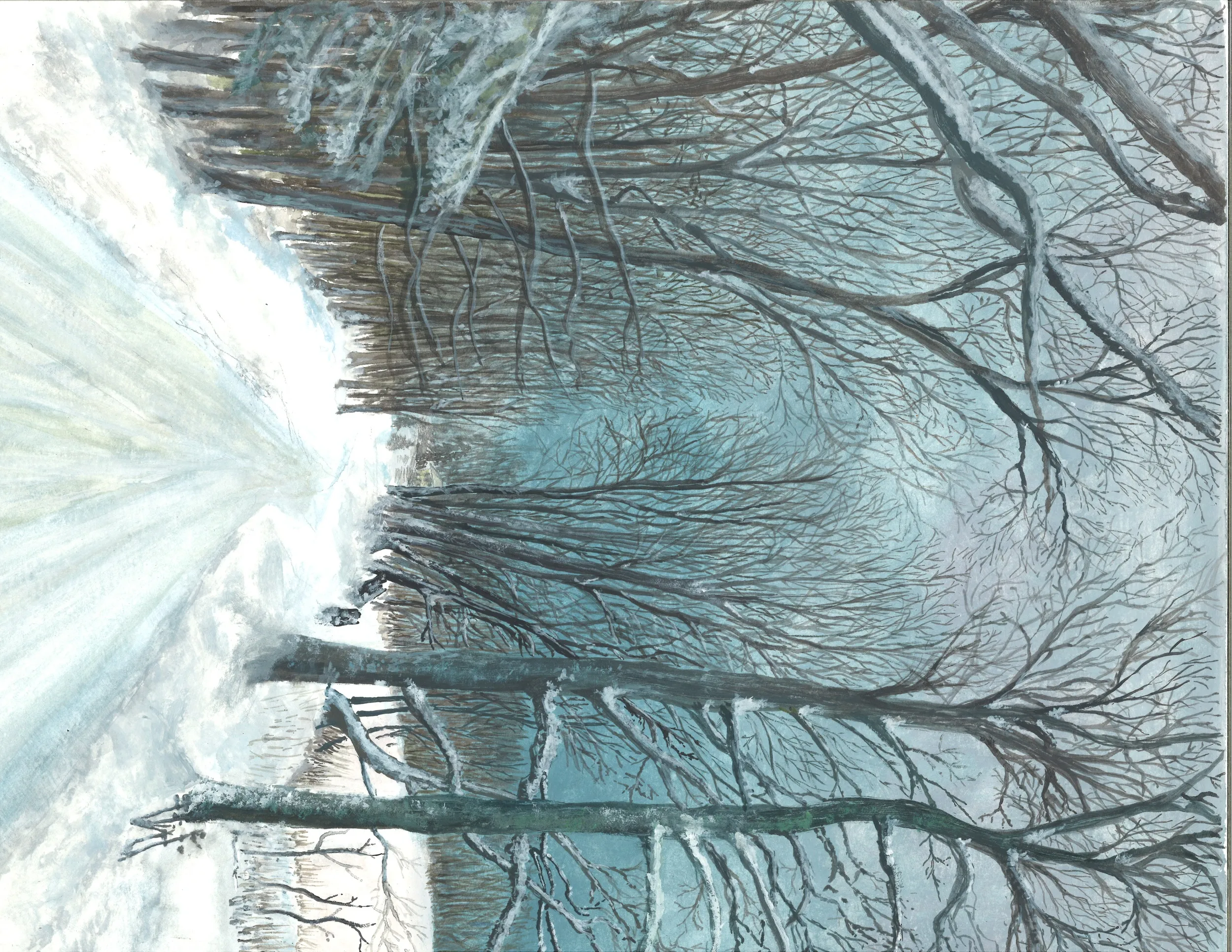 Winter Road in Danville