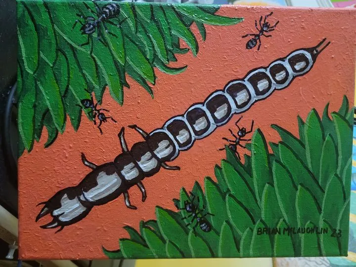 Big head beetle larva with ants