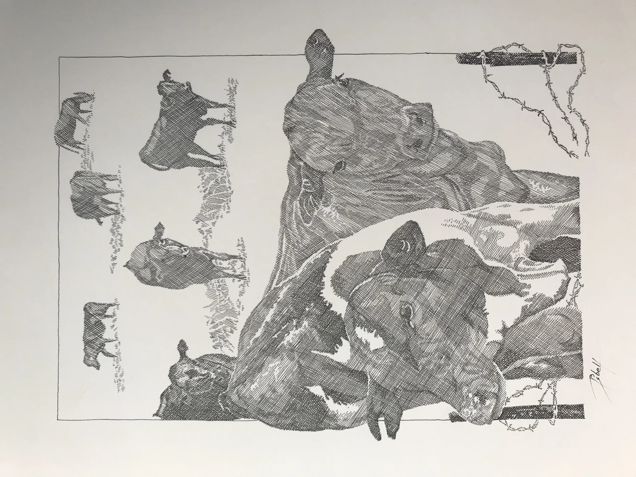 We're Coming Through