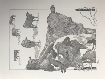 We're Coming Through