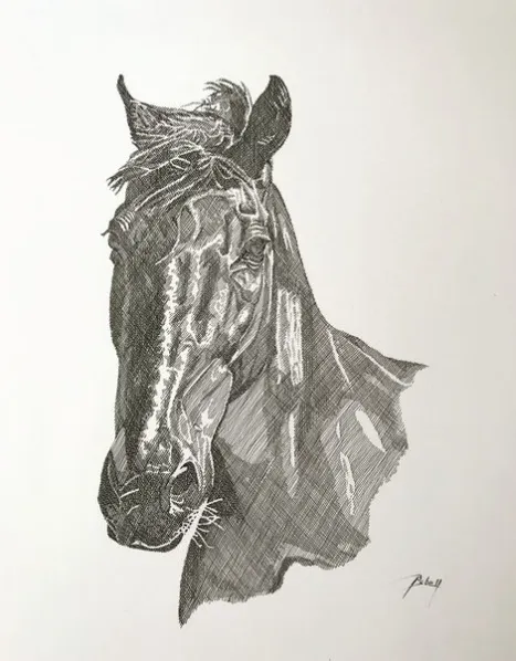 Equine Portrait