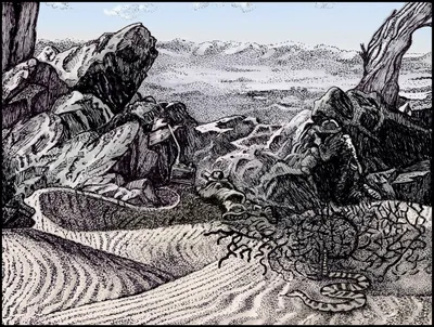 Variations of a Theme