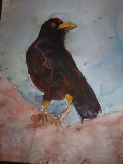 watercolor study in mixing colors to make black