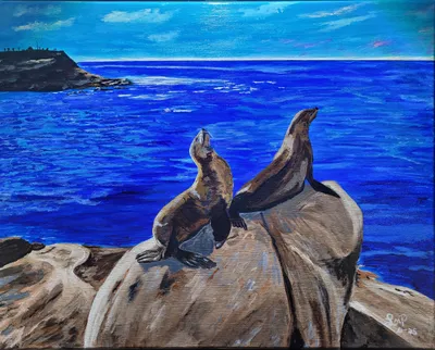 Sea Lions Basking