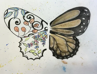 Beauty from the Ashes