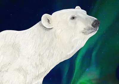 Basking in the Light