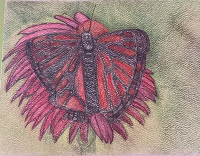 Red Butterfly Greeting Card