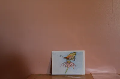 The color full butterfly