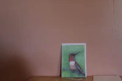 Male Ruby Humminbird