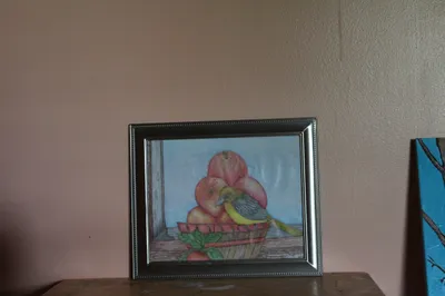 The Bird And The Apple Basket