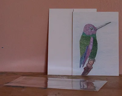 Male Ruby Hummingbird