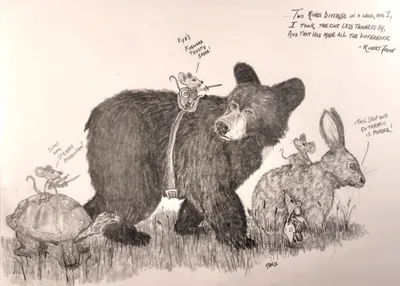 the animals march on a road less travelled