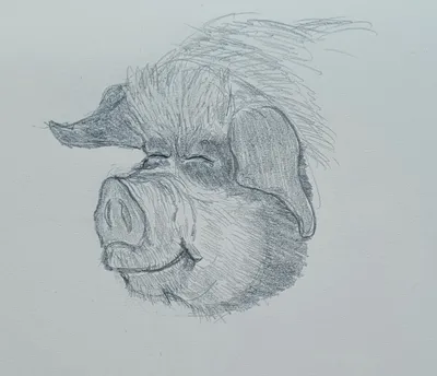 Happy Pig 2