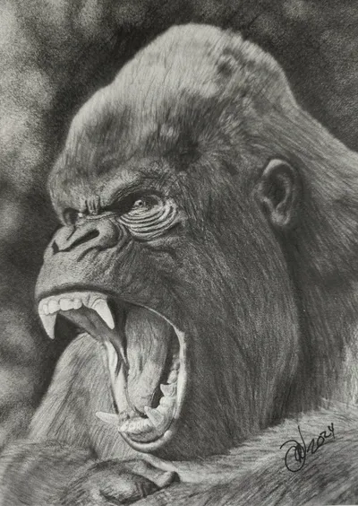 When Daddy talks... Graphite &amp; ink