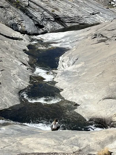 Beauty and the Beast  (Stony Creek, Sequoia)