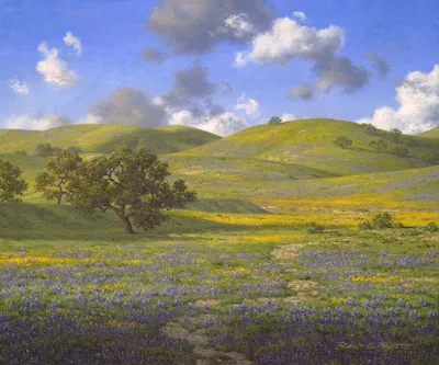 Velvety Hues of Spring