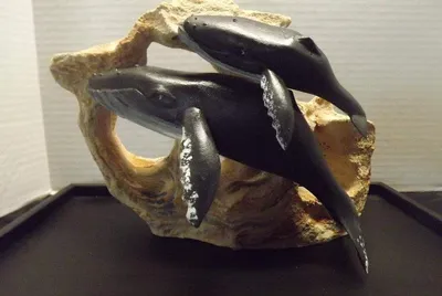 "First breath"  Humback mother and calf