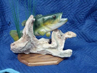 "Large mouth" profile