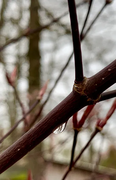 A Little Rain Must Fall