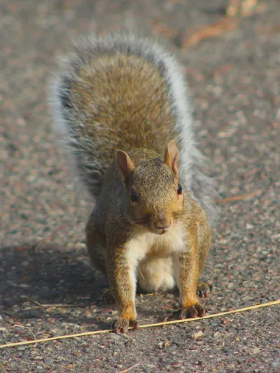 Don't cross that line!