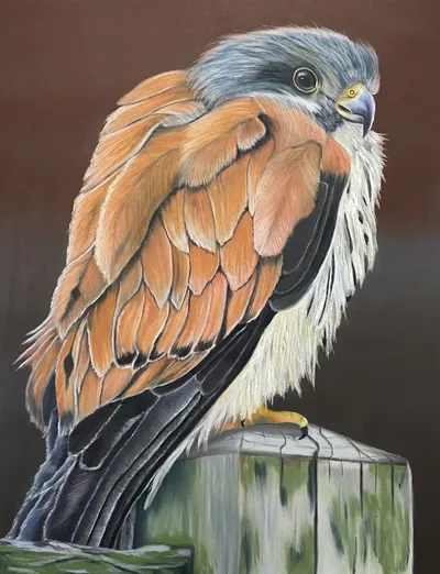 The Early Bird Gets the Worm