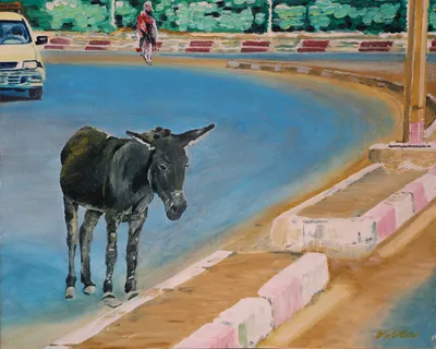 Donkey in the Road