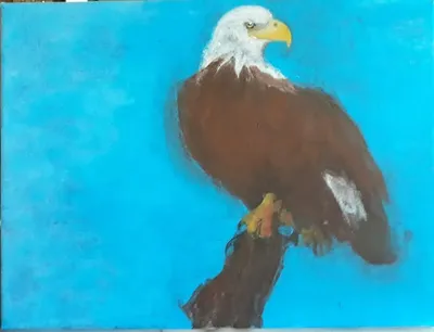 My Eagle